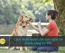 Cách Dạy Chó Con Nghe Lời