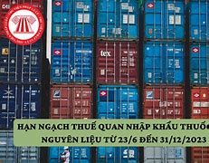 Hạn Ngạch Thuế Quan Nhập Khẩu